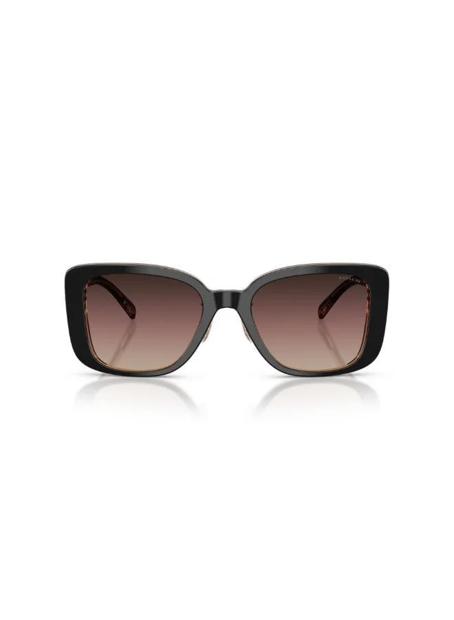 COACH  Square Sunglasses for Women | Best Price UAE