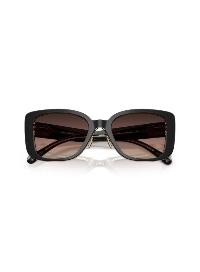 COACH  Square Sunglasses for Women | Best Price UAE