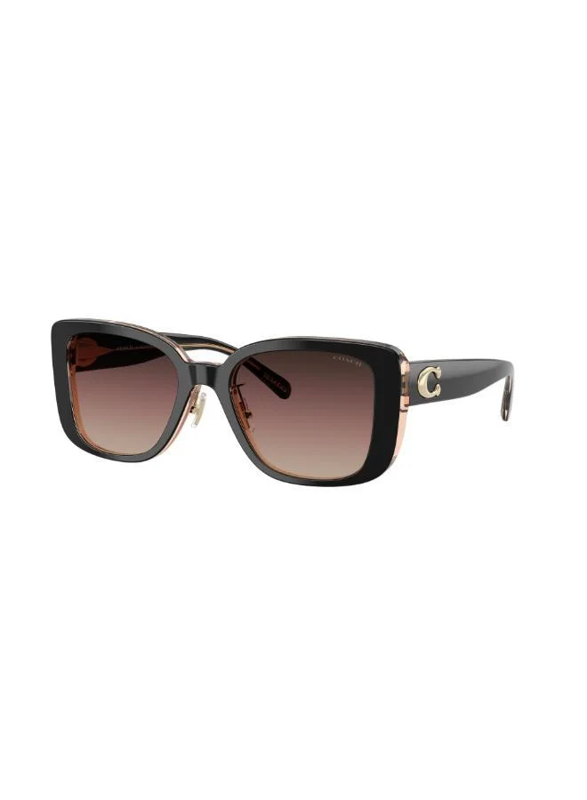COACH  Square Sunglasses for Women | Best Price UAE