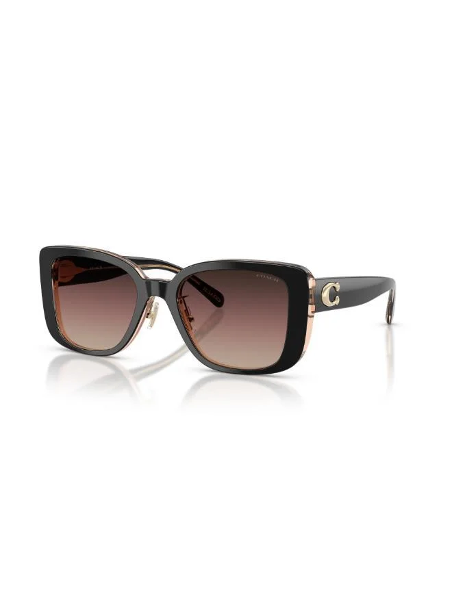 COACH  Square Sunglasses for Women | Best Price UAE
