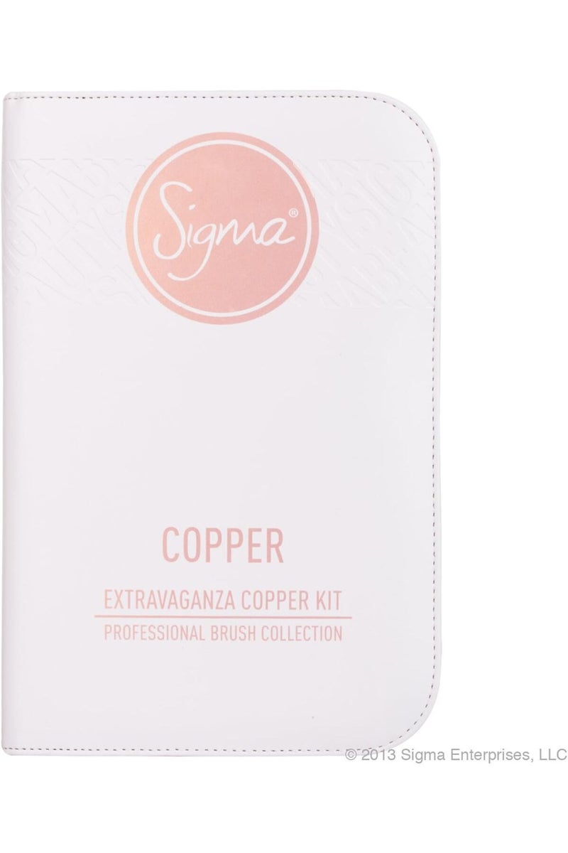 سيغما مجموعة فرشاة نحاسية احترافية من إكسترافاجانزا - Image 1