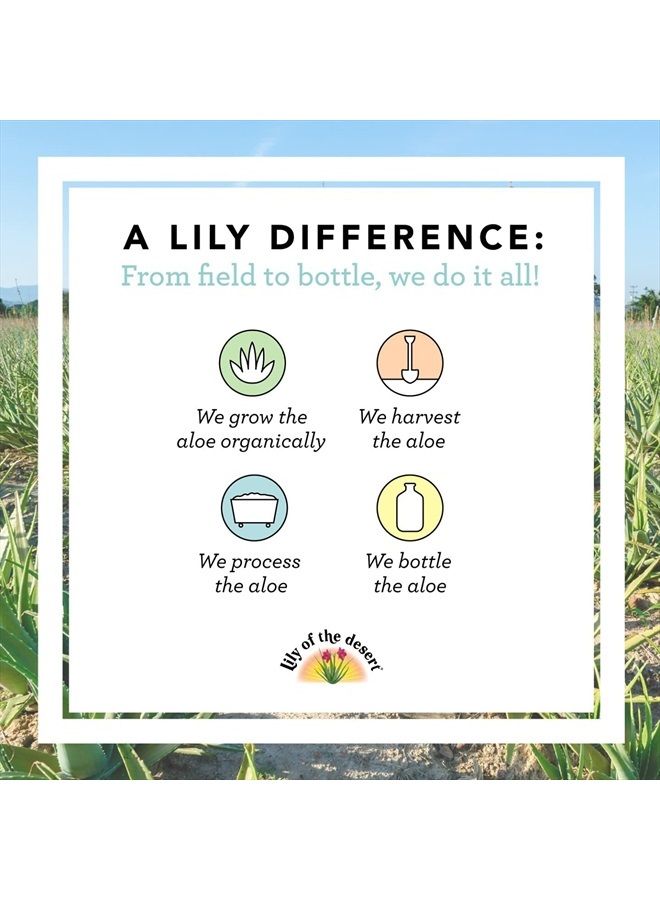 Lily Of the Desert Aloe Vera Juice, Preservative Free - Whole Leaf Filtered Aloe Vera Drink, USDA-Certified Organic Aloe Juice for Gut Health, Wellness, Glowing Skin, 32 Fl Oz  - Image 4