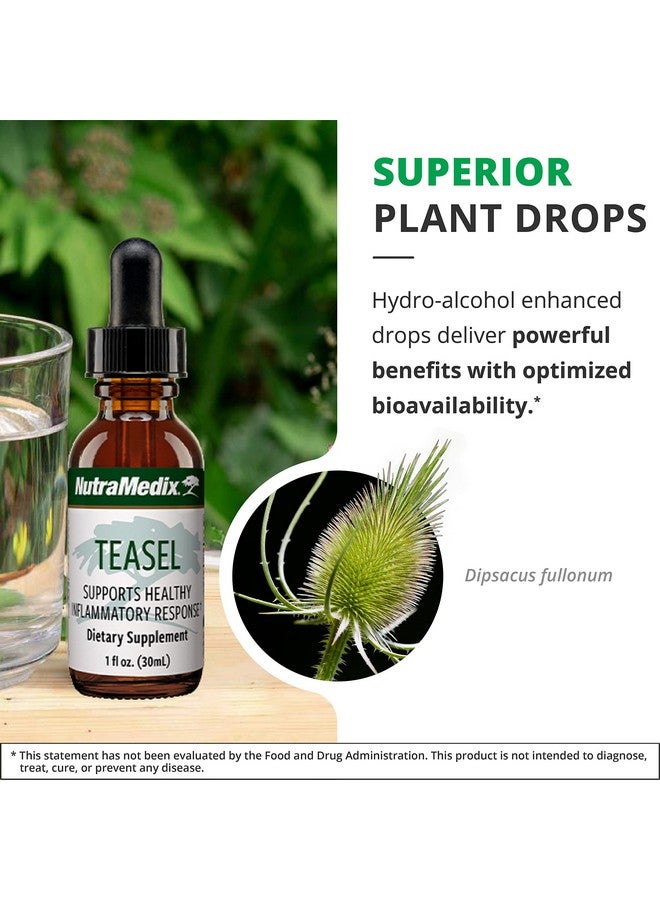 NutraMedix Teasal Extract - Fuller’s Teasel Root (Dipsacus fullonum) Wellness Drops for Antioxidant Support - Vegan Antioxidants Supplement (1oz / 30ml) - Image 5