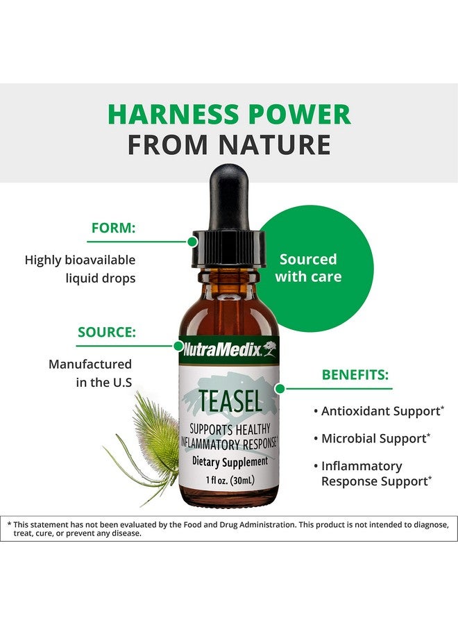 NutraMedix Teasal Extract - Fuller’s Teasel Root (Dipsacus fullonum) Wellness Drops for Antioxidant Support - Vegan Antioxidants Supplement (1oz / 30ml) - Image 4