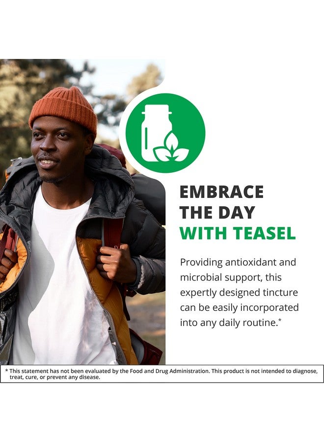 NutraMedix Teasal Extract - Fuller’s Teasel Root (Dipsacus fullonum) Wellness Drops for Antioxidant Support - Vegan Antioxidants Supplement (1oz / 30ml) - Image 3