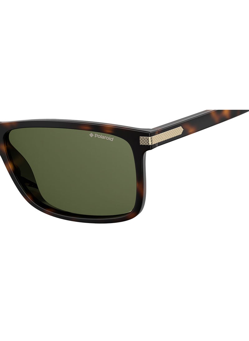 Polarized Rectangular Eyewear Sunglasses PLD 2075/S/X    HVN 59 - pzsku/Z77F21D0E00FB1BE7CCFDZ/45/_/1657093435/3fccdb99-d1a2-4450-96f3-2e84287b68e3