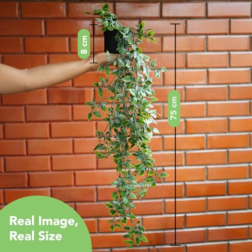 Ekhasa Nostrae Pothos Hanging Artificial Plants with Pot (Set of 2) | Money Plant Artificial Hanging Plants for Decor | Epipremnum Falling Creepers Climbers Fake Vines with Hanging Pots (Mandala) - Image 3