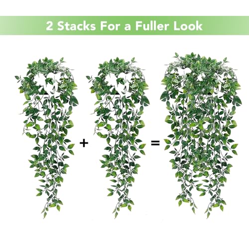 Ekhasa Nostrae Pothos Hanging Artificial Plants with Pot (Set of 2) | Money Plant Artificial Hanging Plants for Decor | Epipremnum Falling Creepers Climbers Fake Vines with Hanging Pots (Mandala) - Image 5