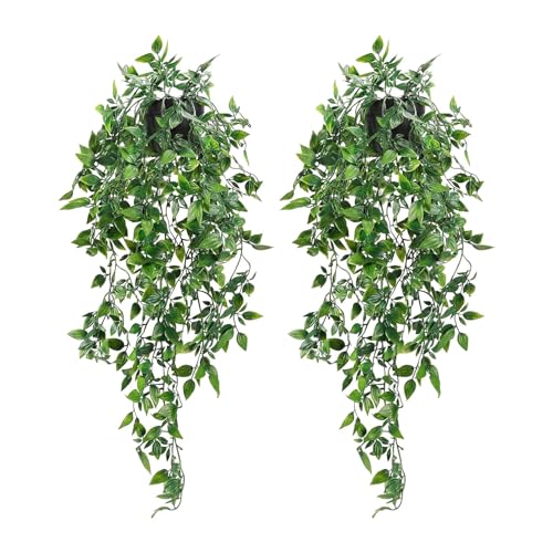 Ekhasa Nostrae Pothos Hanging Artificial Plants with Pot (Set of 2) | Money Plant Artificial Hanging Plants for Decor | Epipremnum Falling Creepers Climbers Fake Vines with Hanging Pots (Mandala) - Image 1