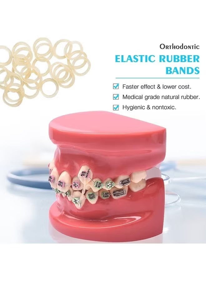 YJ 500 Pcs Orthodontic Elastic Rubber Bands, 4.5 Oz 1/4" Size Dental Rubber Traction Bands for Teeth Gap, Braces, Dog Grooming Top Knots, Bows, Braids, Tooth Gaps, and Dreadlocks - Image 4