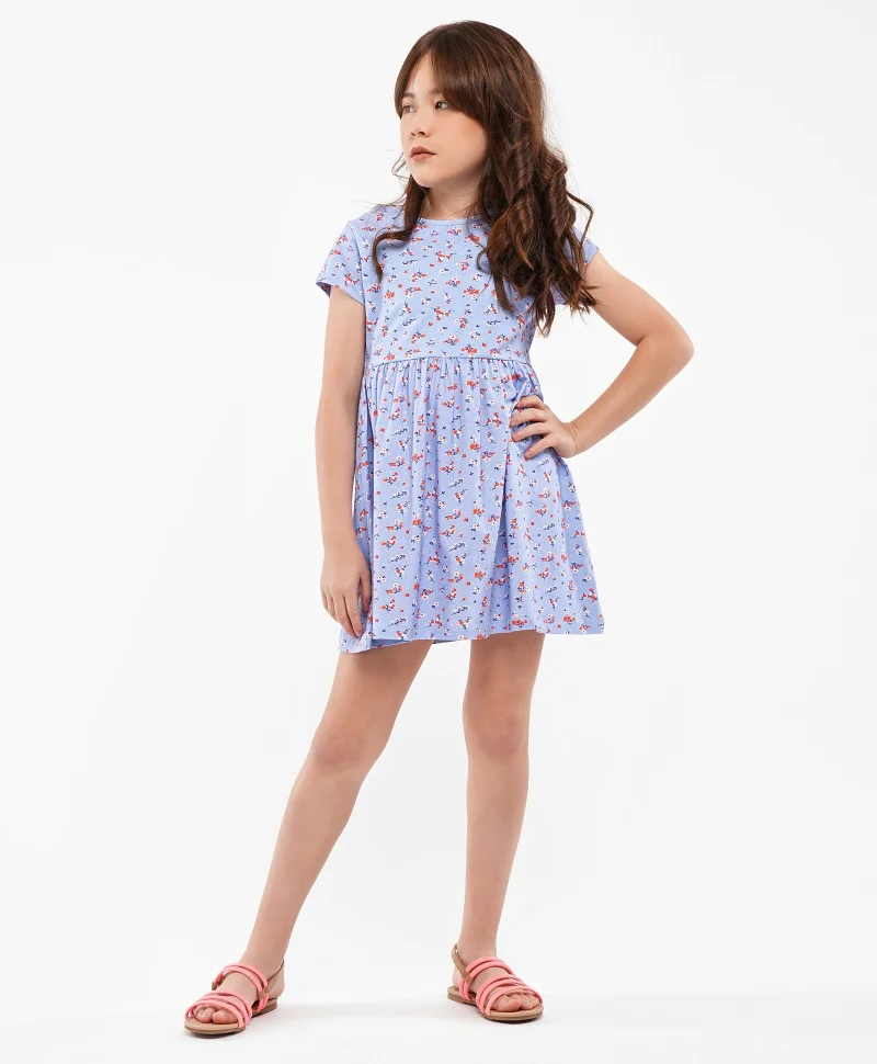 Primo Gino Primo Gino Half Sleeves Printed Frock Pack of 2 - Blue Red