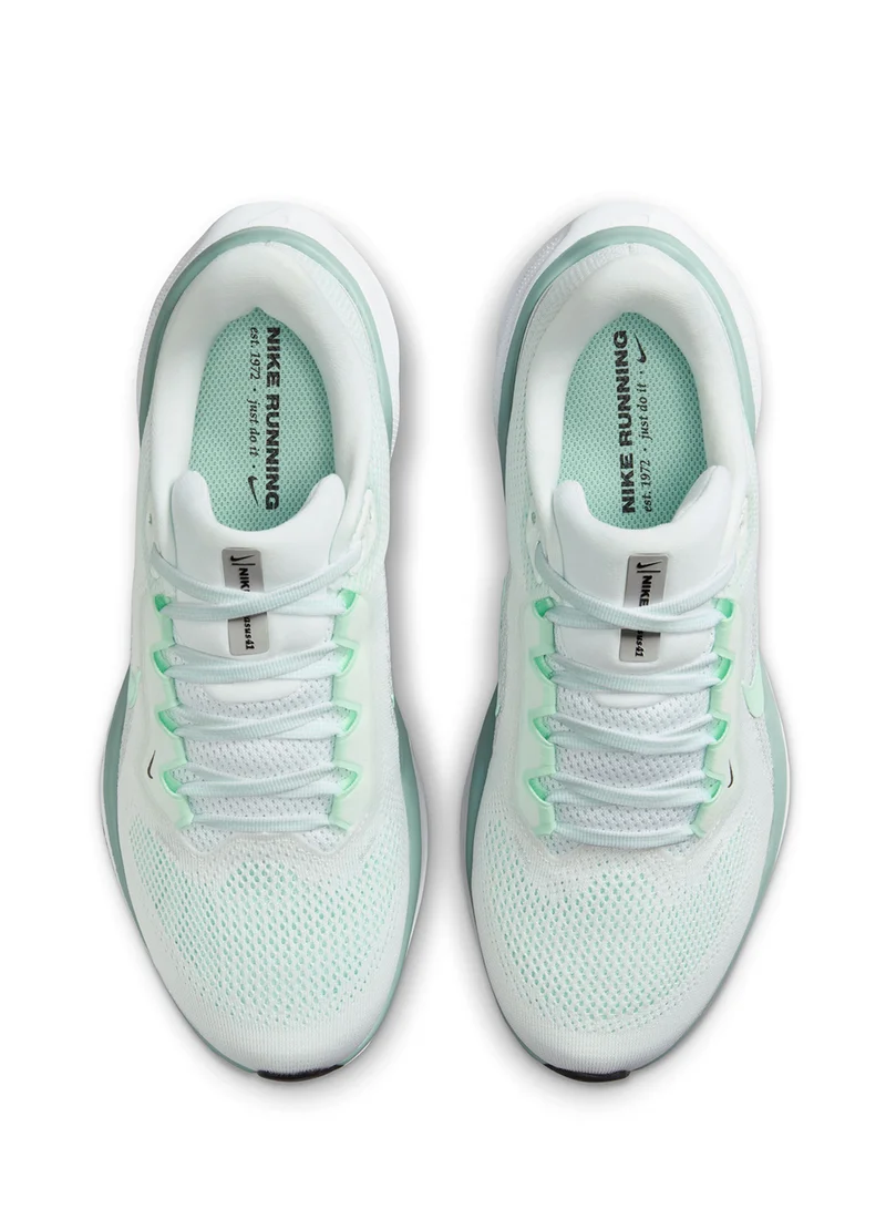 Nike Nike Pegasus 41