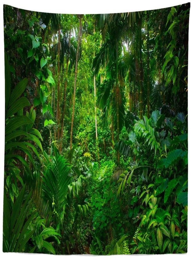 Loccor Jungle Forest Tapestry - 80''x60'' Summer Rainforest Green Trees Natural Scenery Wall Hanging for Home Living Room Artistic Decor - Image 2