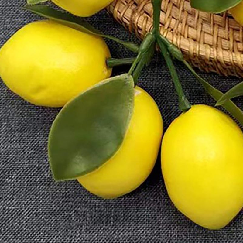 Practical experience crafted Cabilock Artificial Lemon Decoration Faux Fruit Prop 3pcs Yellow Lemon Cluster Leaves for Home Kitchen Party Table Décor Farmhouse Style Repeated use trusted quality All season compatible build General compatible design Heat insulation layer Elegant practical design Upgraded classic design Chemical free Nationwide warehouse layout Temp resistant Room to room portable Cross-location transit friendly build Remote village delivery cover Anti topple design Globally trusted quality Wet anti slip Ergonomic build Storage transit efficiency build Multi-demand compliant quality Multi-market matching options Anti slip Trendy varied sizing alternatives Varied dimensions Transit & use compatible Slow wear optimized quality - Image 4