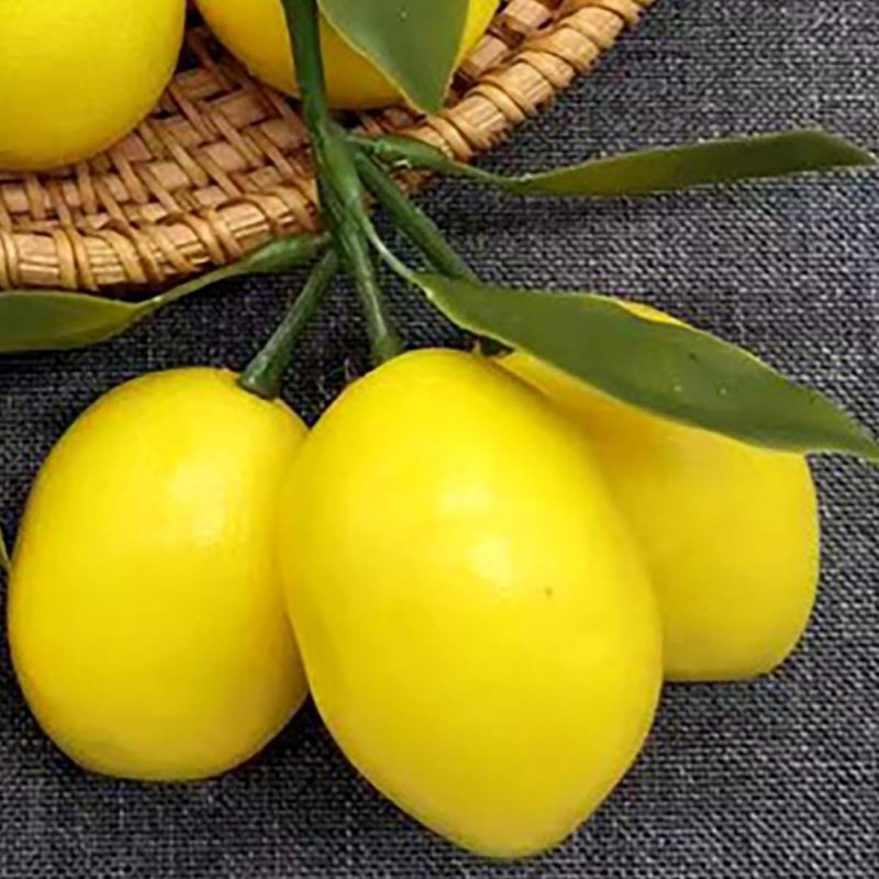 Practical experience crafted Cabilock Artificial Lemon Decoration Faux Fruit Prop 3pcs Yellow Lemon Cluster Leaves for Home Kitchen Party Table Décor Farmhouse Style Repeated use trusted quality All season compatible build General compatible design Heat insulation layer Elegant practical design Upgraded classic design Chemical free Nationwide warehouse layout Temp resistant Room to room portable Cross-location transit friendly build Remote village delivery cover Anti topple design Globally trusted quality Wet anti slip Ergonomic build Storage transit efficiency build Multi-demand compliant quality Multi-market matching options Anti slip Trendy varied sizing alternatives Varied dimensions Transit & use compatible Slow wear optimized quality - Image 5