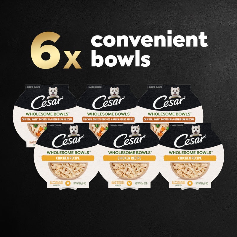 Cesar Wholesome Bowls Adult Wet Dog Food, Chicken Recipe and Chicken, Sweet Potatoes & Green Beans Recipe Variety Pack, Wet Food for Dogs, 3 Oz. Bowls, 6 Count - Image 2