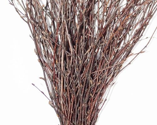 ECOVENIK - 50 psc. Birch Twigs – 100% Natural Decorative Branches for Vases, Centerpieces & DIY Crafts – Birch Sticks for Decorating (16-18 Inch) - Image 2