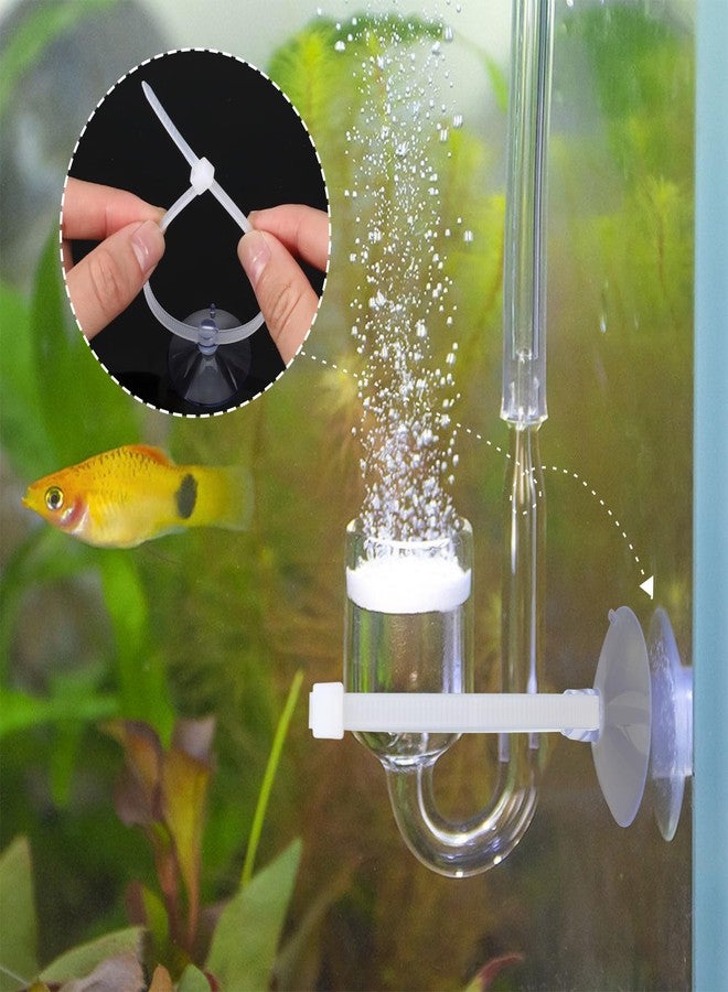 HaiFafafaing 15 Pcs Aquarium Suction Cups with 30 Pcs Zip Ties - Transparent Suction Cup for Aquarium, Plants Binding, Moss Shrimp Nest Landscape Fixation - Utility Sucker Pads for Kitchen Hanging Organization - Image 5