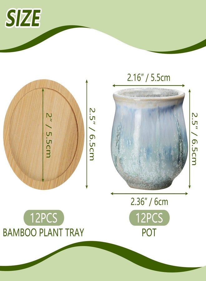 Remerry 2.5 Inch Small Succulent Pots Assorted Succulent Pots with Drainage Ceramic Succulent Planter Pot Bamboo Plant Tray Planting Pot Flower Pots for Home Office Garden(Rich Color, 12 Pcs) - Image 2