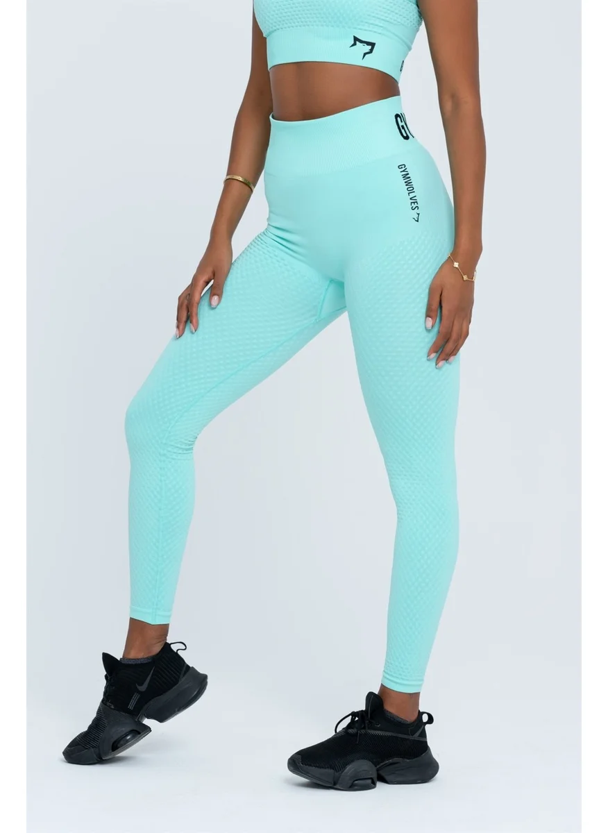 Gymwolves Seamless Sports Tights | Seamles Leggings |