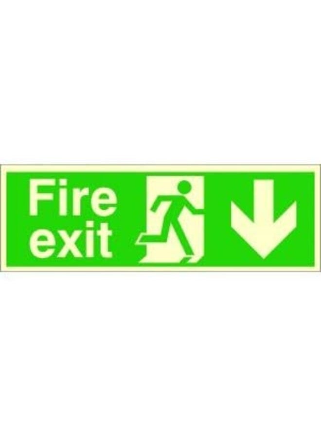 In The Dark Fire Exit Down Sign 400Mm X 150Mm - pzsku/Z78037D26A2B606931185Z/45/_/1694752477/67bb329c-8174-4240-8d8b-5e1b2cc817cc