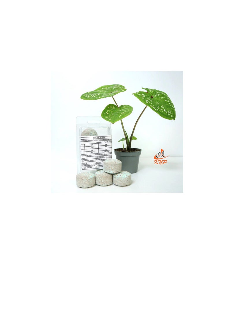KNP Fertilizer Tablets with Complete Essential Nutrients 10 tabs pack - Image 3