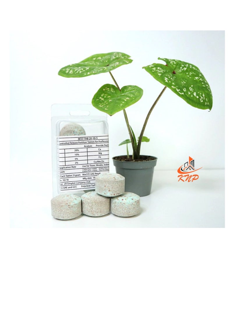 KNP Fertilizer Tablets with Complete Essential Nutrients 10 tabs pack - Image 2