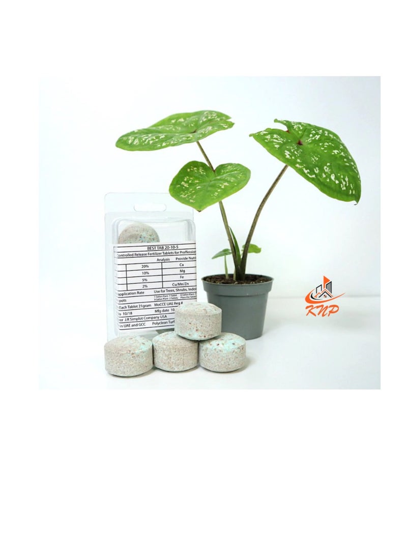 KNP Fertilizer Tablets with Complete Essential Nutrients 10 tabs pack - Image 1