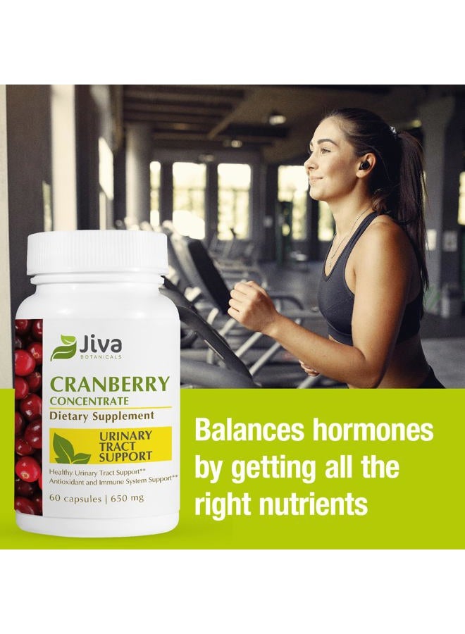 Jiva BOTANICALS أقراص مركز التوت البري (650 ملغ) - أقراص التوت البري تدعم صحة المسالك البولية، مستويات السكر في الدم وصحة القلب - مكمل طبيعي بالكامل من التوت البري - 60 كبسولة - من جيفا بوتانيكالز - Image 4