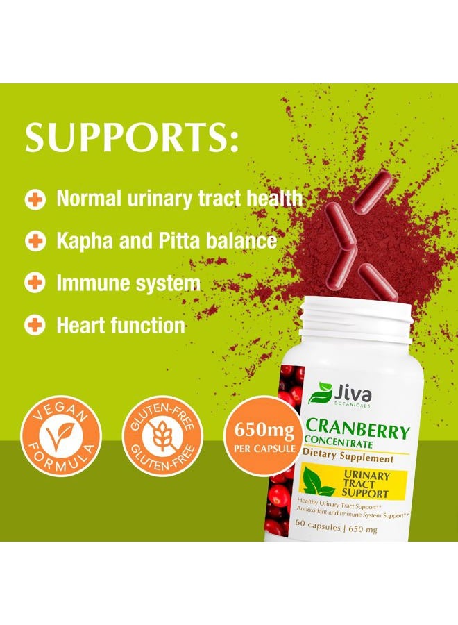 Jiva BOTANICALS أقراص مركز التوت البري (650 ملغ) - أقراص التوت البري تدعم صحة المسالك البولية، مستويات السكر في الدم وصحة القلب - مكمل طبيعي بالكامل من التوت البري - 60 كبسولة - من جيفا بوتانيكالز - Image 2