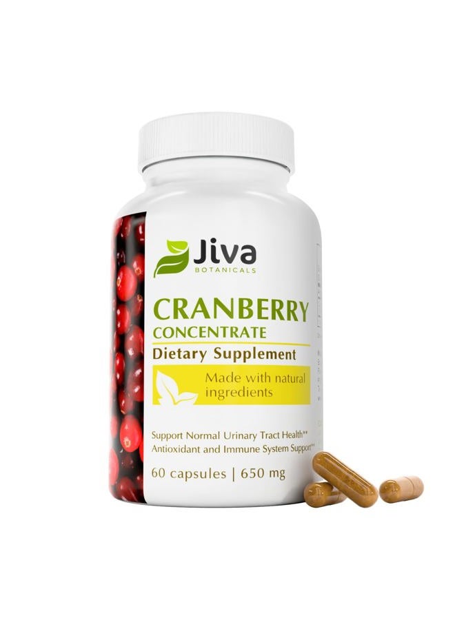 Jiva BOTANICALS أقراص مركز التوت البري (650 ملغ) - أقراص التوت البري تدعم صحة المسالك البولية، مستويات السكر في الدم وصحة القلب - مكمل طبيعي بالكامل من التوت البري - 60 كبسولة - من جيفا بوتانيكالز - Image 1