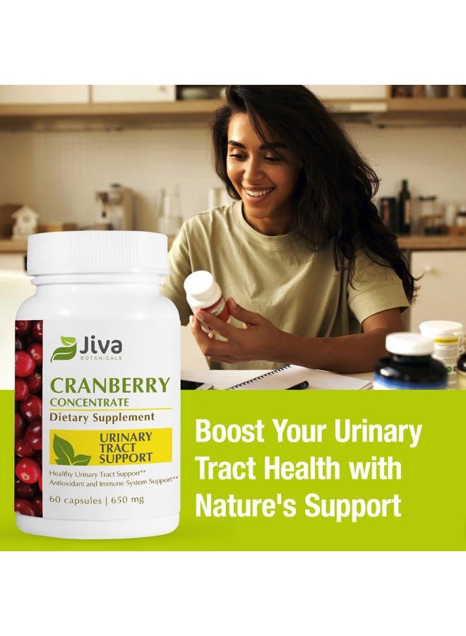 Jiva BOTANICALS أقراص مركز التوت البري (650 ملغ) - أقراص التوت البري تدعم صحة المسالك البولية، مستويات السكر في الدم وصحة القلب - مكمل طبيعي بالكامل من التوت البري - 60 كبسولة - من جيفا بوتانيكالز - Image 3