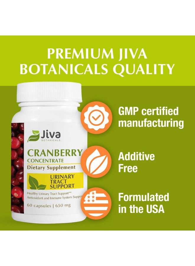 Jiva BOTANICALS أقراص مركز التوت البري (650 ملغ) - أقراص التوت البري تدعم صحة المسالك البولية، مستويات السكر في الدم وصحة القلب - مكمل طبيعي بالكامل من التوت البري - 60 كبسولة - من جيفا بوتانيكالز - Image 5