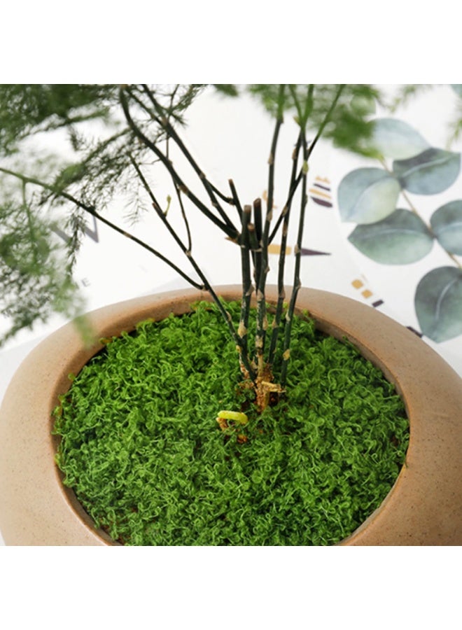 Mordely Fake Moss 50g Plastic Artificial Moss Realistic Looking Faux Moss Nutural Fake Green Lichen Plants for Plant Pot Crafting Garden Patio Decoration Dark Green Faux Moss Artificial Moss for Plant Pots Ar - Image 2
