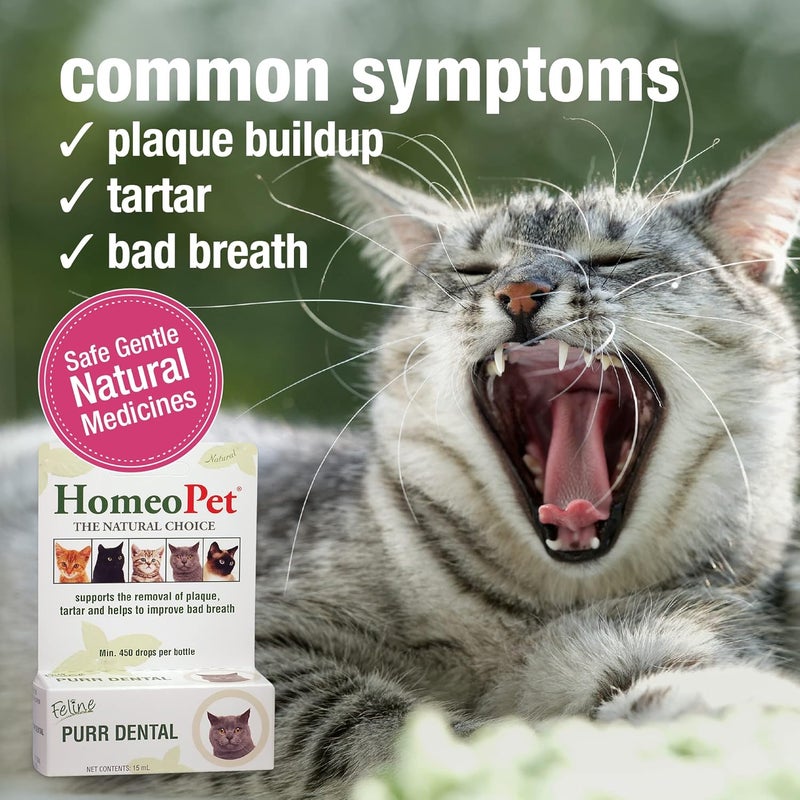 HomeoPet Feline Purr Dental Safe and Natural Tooth and Dental Care for Cats Cat Dental Care 15 Milliliters - Image 3