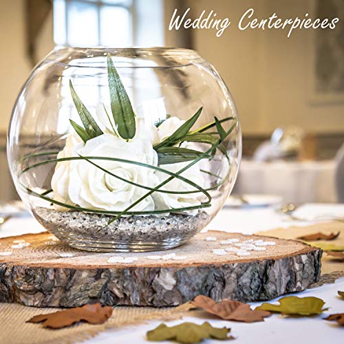 CYS EXCEL Large Glass Bubble Bowl (H-9.5" W-11", Approx. 3 Gal.) | Multiple Size Choices Fish Bowl Vase | Glass Round Bowl Terrarium | Globe Flower Vase Centerpiece - Image 5