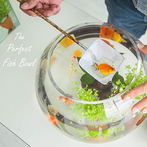 CYS EXCEL Large Glass Bubble Bowl (H-9.5" W-11", Approx. 3 Gal.) | Multiple Size Choices Fish Bowl Vase | Glass Round Bowl Terrarium | Globe Flower Vase Centerpiece - Image 4