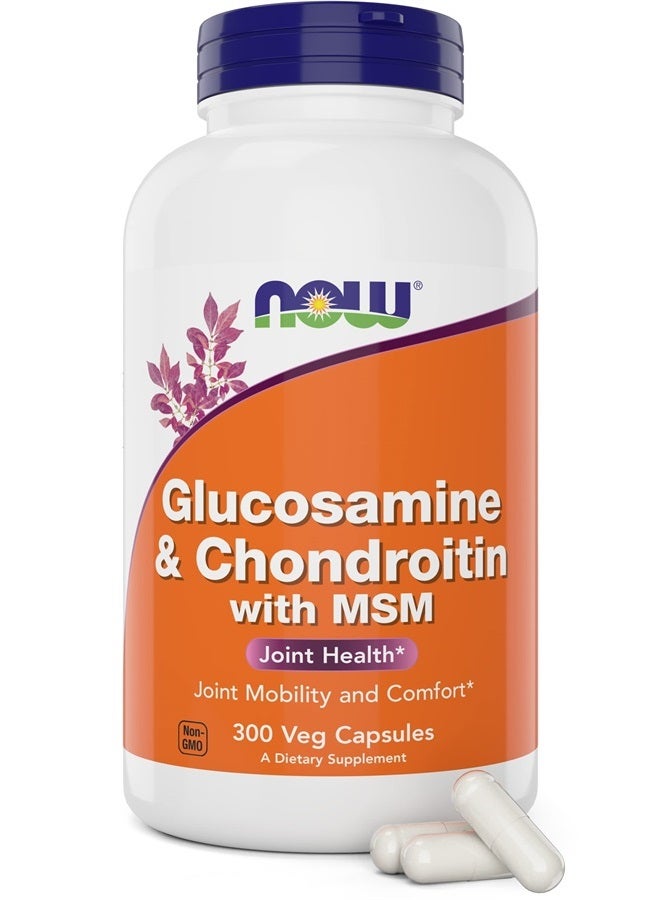 now مكملات، جلوكوزامين وكوندرويتين مع MSM، صحة المفاصل، الحركة والراحة*، 90 كبسولة نباتية - Image 1