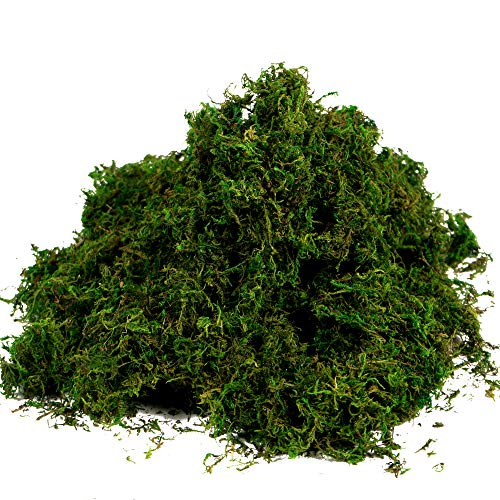 BYHER Artificial Moss Fake Green Grass for Centerpieces Home Kitchen Garden Decor (3.5OZ, Fresh) - Image 1