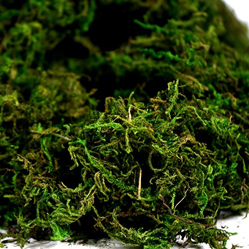 BYHER Artificial Moss Fake Green Grass for Centerpieces Home Kitchen Garden Decor (3.5OZ, Fresh) - Image 3