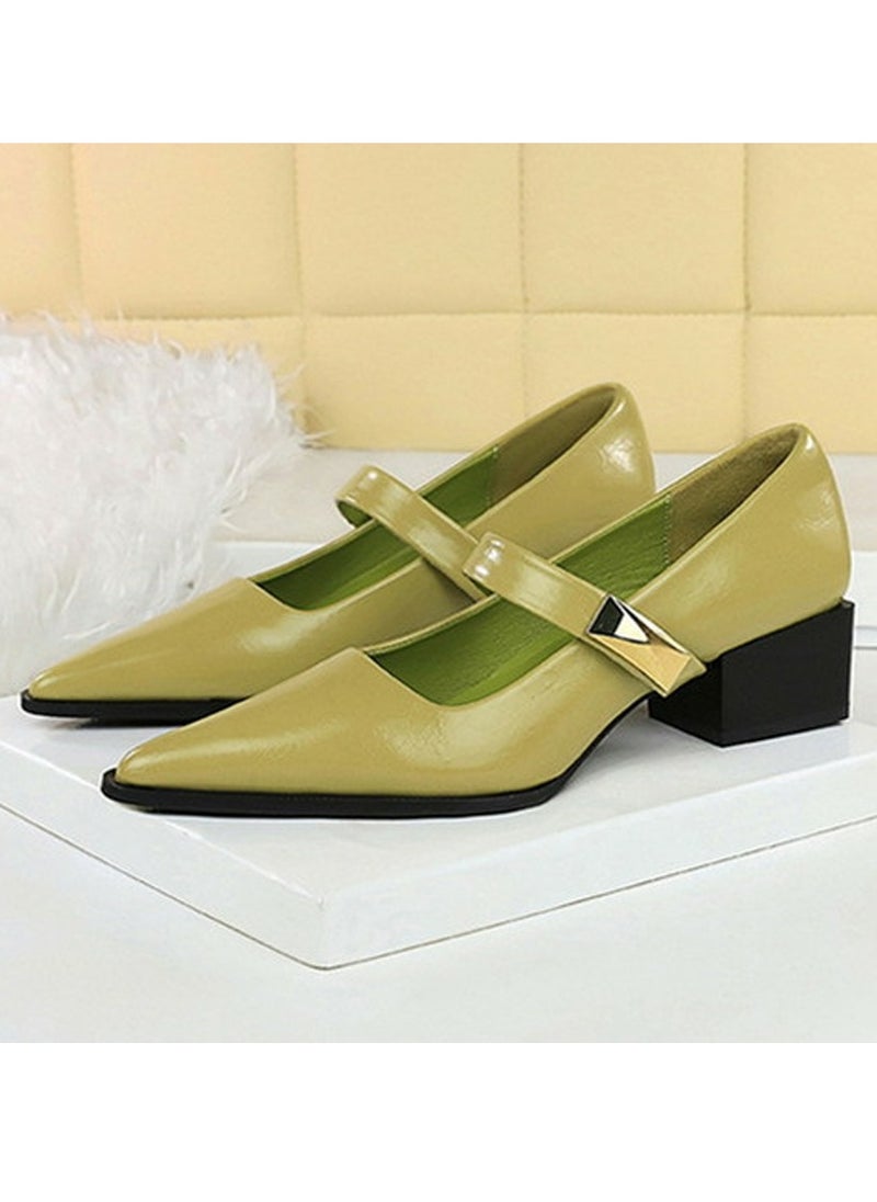 BIGTREE Mary Jane Shoes Low Heel Chunky Heels Closed Pointed Toe Ankle Strap Shoes Light Green  - Image 1