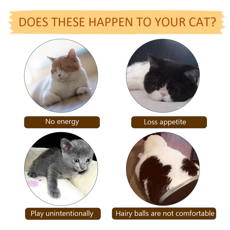 Electric Flopping Simulation Fish Cats Toy for Biting Chewing Kicking Funny Interactive Pets Toys USB Charging Fish Toy Kitten-Perfect - Image 2
