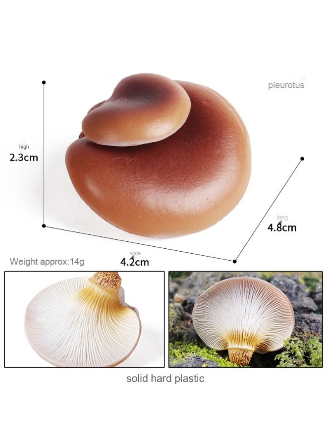 NIBEMINENT Fake Mushroom Model - Essential Educational Tool for Early Learning and Scene Photography