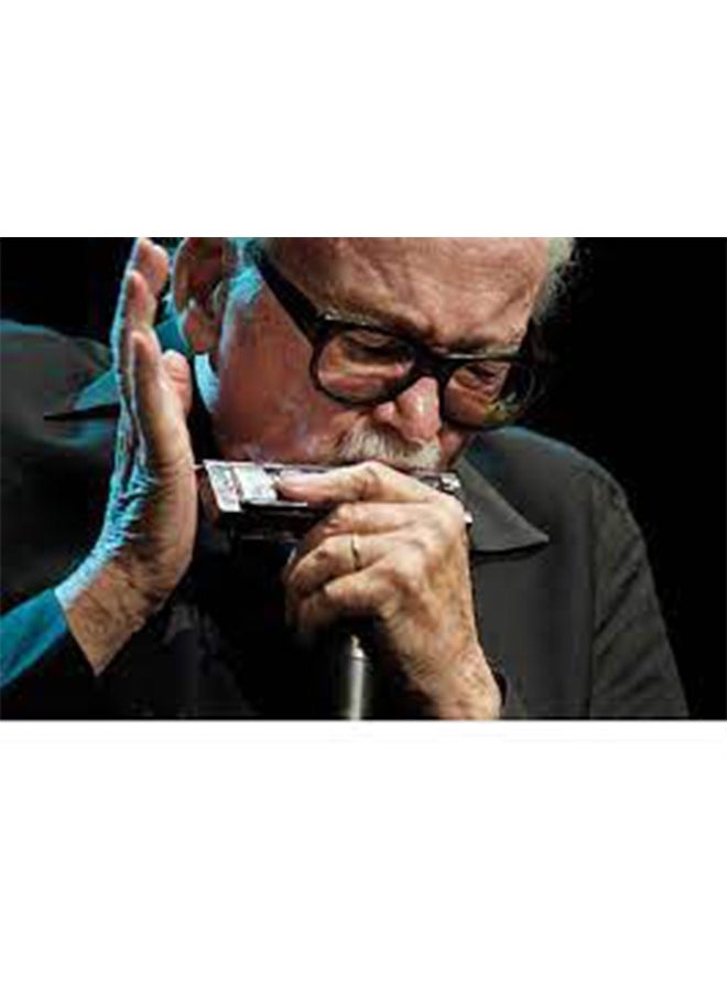 🎶 BEE Harmonica - 24 Holes, Multiple Colors, Pure Sound for Beginners & Professionals  - Image 1