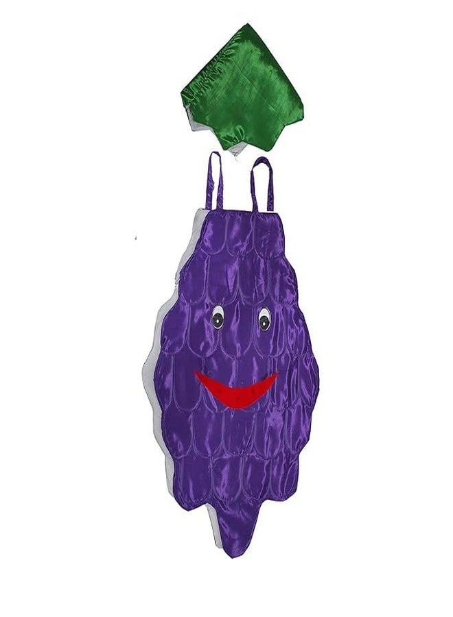 Nic Grapes Fruit Cosplay Costume Outfit For Kids Girls | Kids Mirchi Fancy Dress For School Annual Function | Halloween Costumes - Image 1