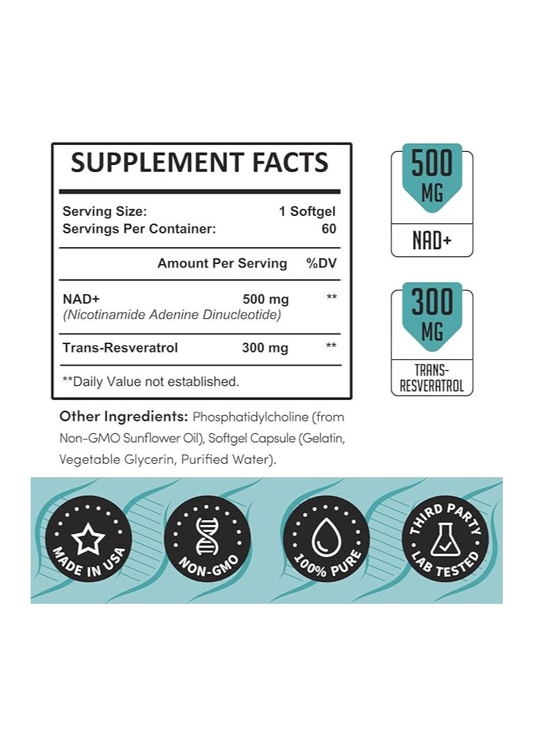 Rhamoph - Liposomal Nad And Trans Resveratrol 800 Mg 60 Softgels - Image 1