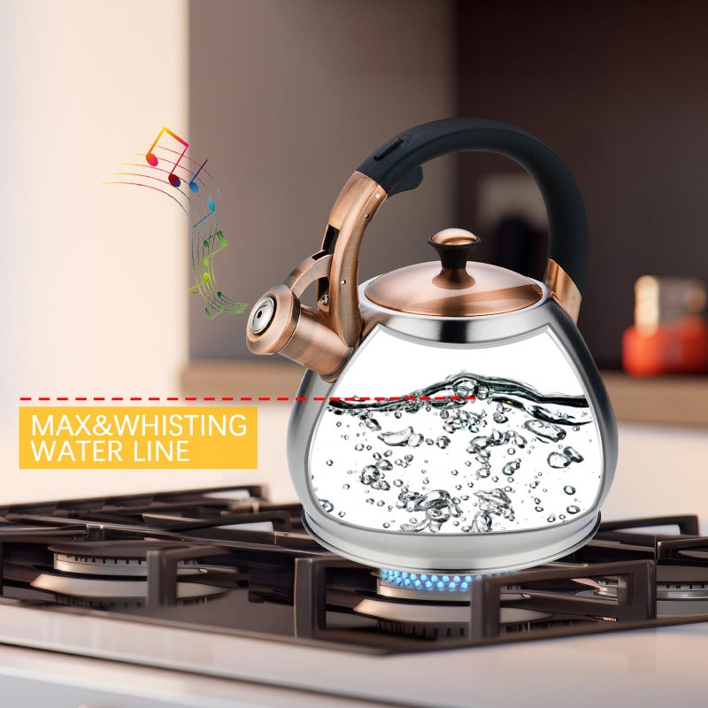 Lazneyru Tea Kettle Stovetop Whistling Kettle Teapot, 3Quart Tea Pot Stainless Steel Teakettle for Stove Top with Heat Proof Ergonomic Handle - Image 3