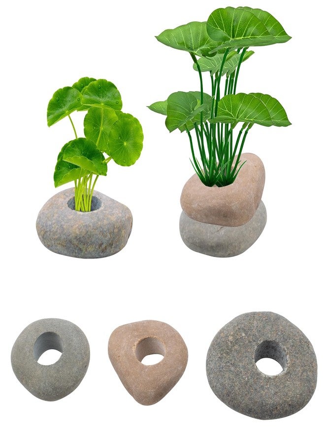MiDube 6 PCS River Stone Plant Weights for Aquarium, 0.8'' Hole Natural Pebble Anti-Floating Aquatic Plant Fixed Ring for Fish Tank Landscaping Ornament - Image 1