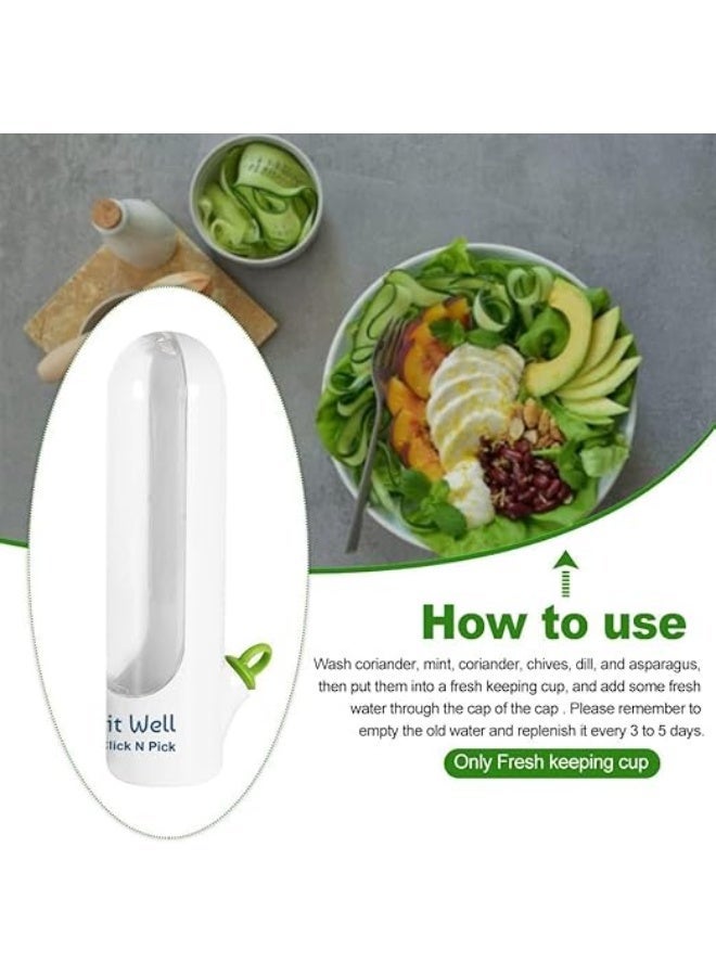 ناما وعاء لحفظ الأعشاب الطازجة، مصمم للحفاظ على الخضروات الورقية والأعشاب مثل البقدونس، والكزبرة، والنعناع طازجة لفترة أطول. - Image 3