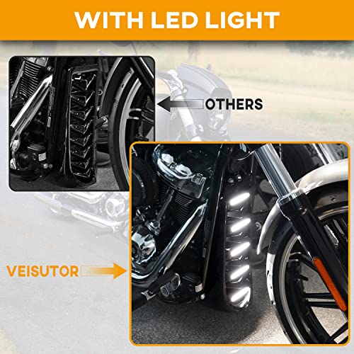 VEISUTOR Motorcycle Front Chin Fairing Spoiler Assembly for Harley Davidson Softail Breakout, Front Lower Radiator Cover for Harley Davidson Softail Breakout Street Bob Fat Bob 2018-2024 Accessories - Image 2